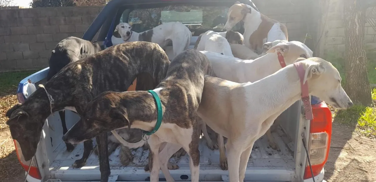 imagen_2024-06-24_080459590