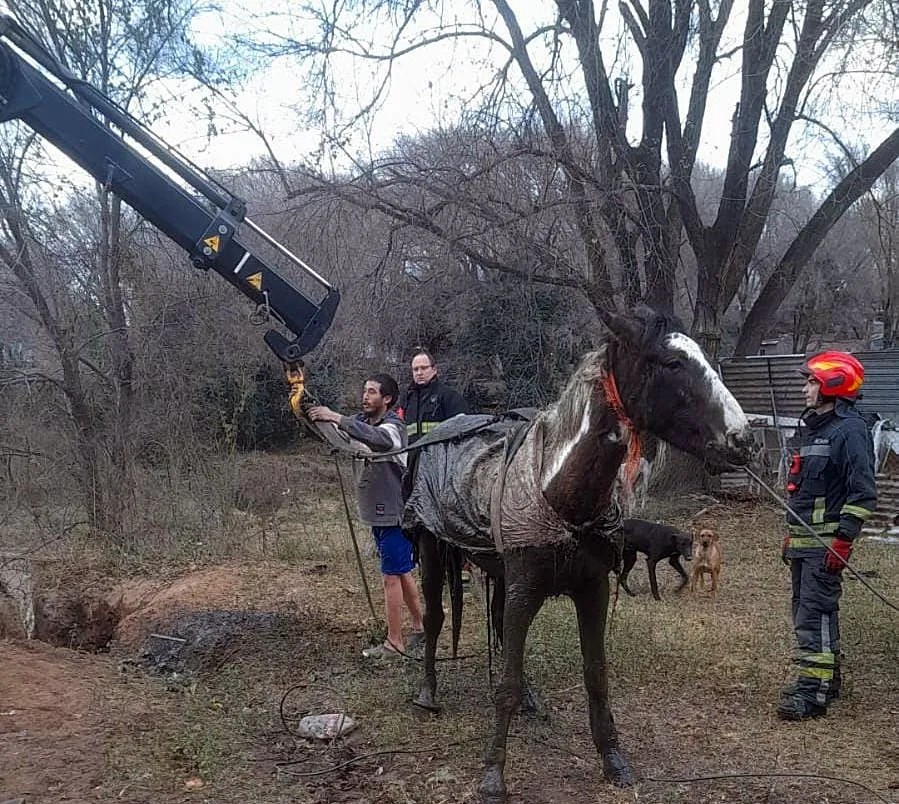 00b7cd44-dc98-4751-b8d0-0f080b301943