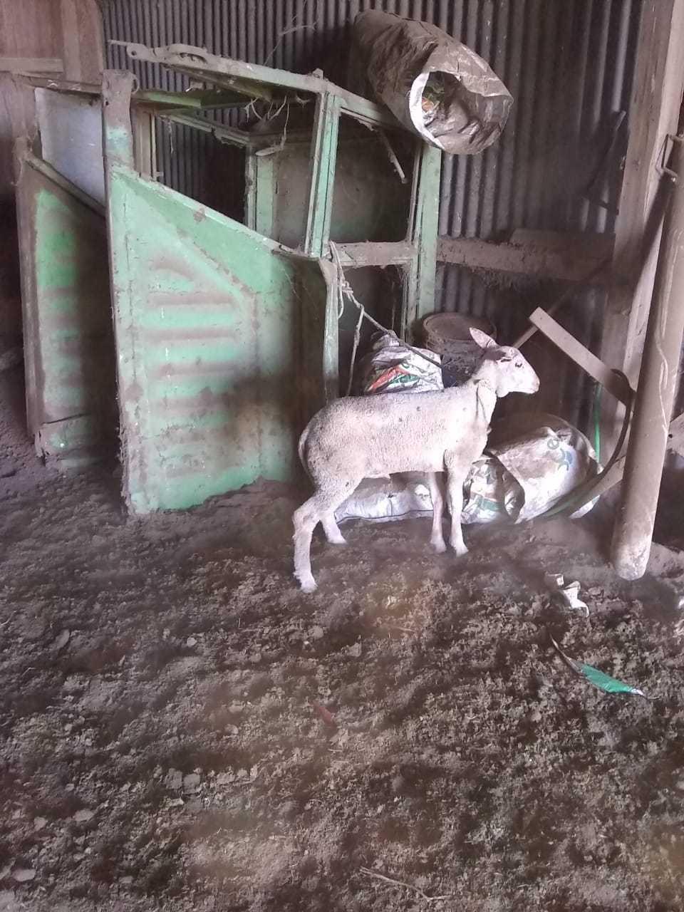 ABIGEATO LAGOS 2 (FILEminimizer)