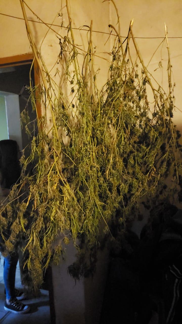 1486b833-06b4-412c-b999-f214ed094627