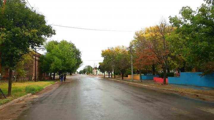 ARBOLADO PARERA