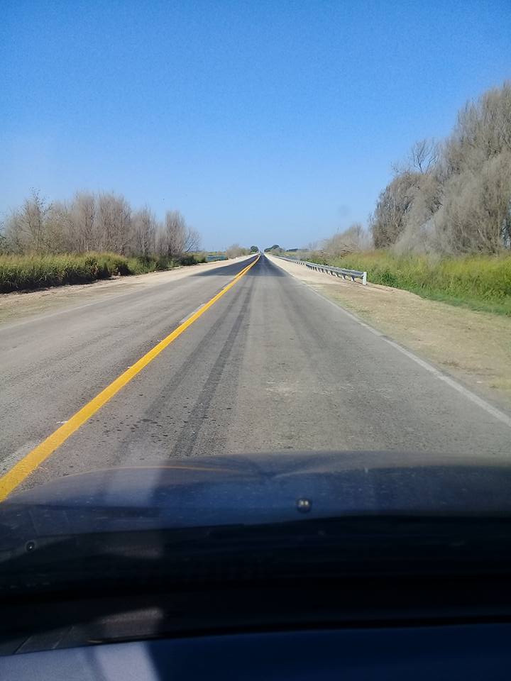 28685733_10211051650063915_9212289266517205036_n