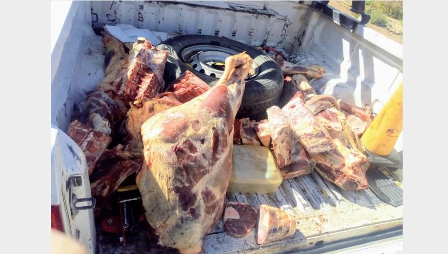 carne decomisada Acha 1