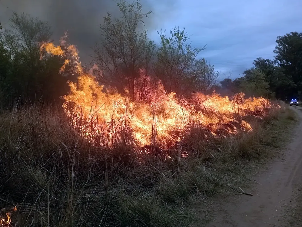 c111bae0-bfc9-414a-9f74-4c4621ff24e7