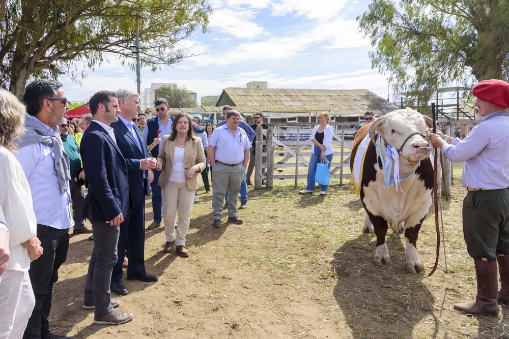 ziliotto rural sra_1