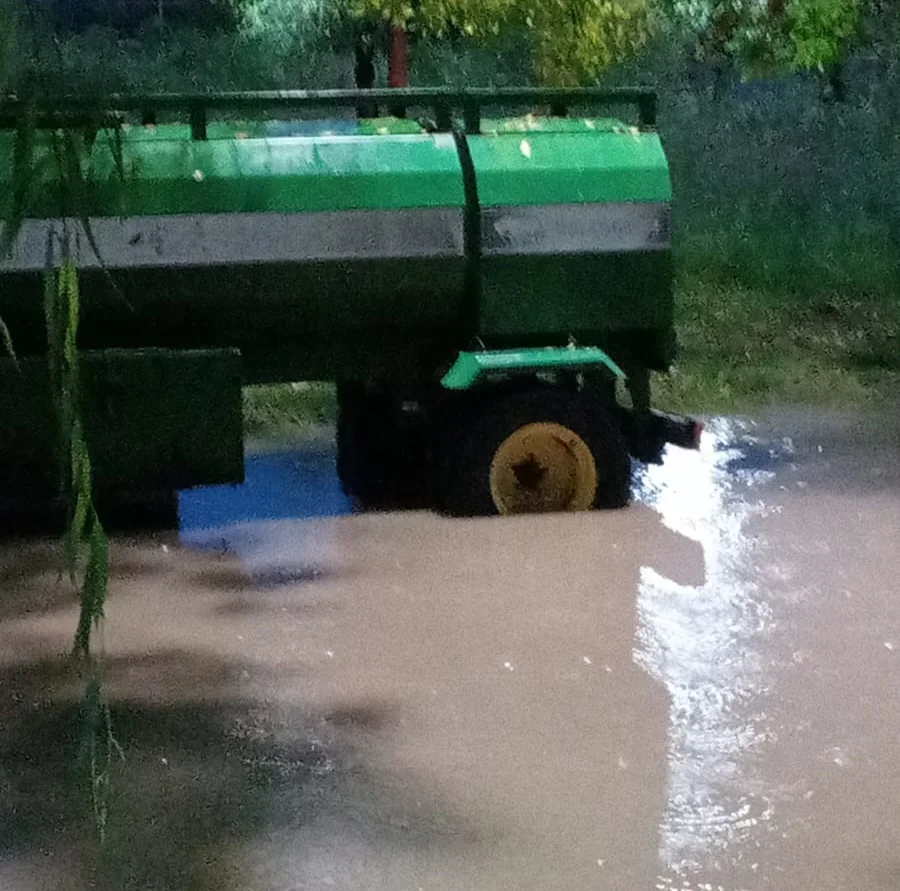 bunge lluvia