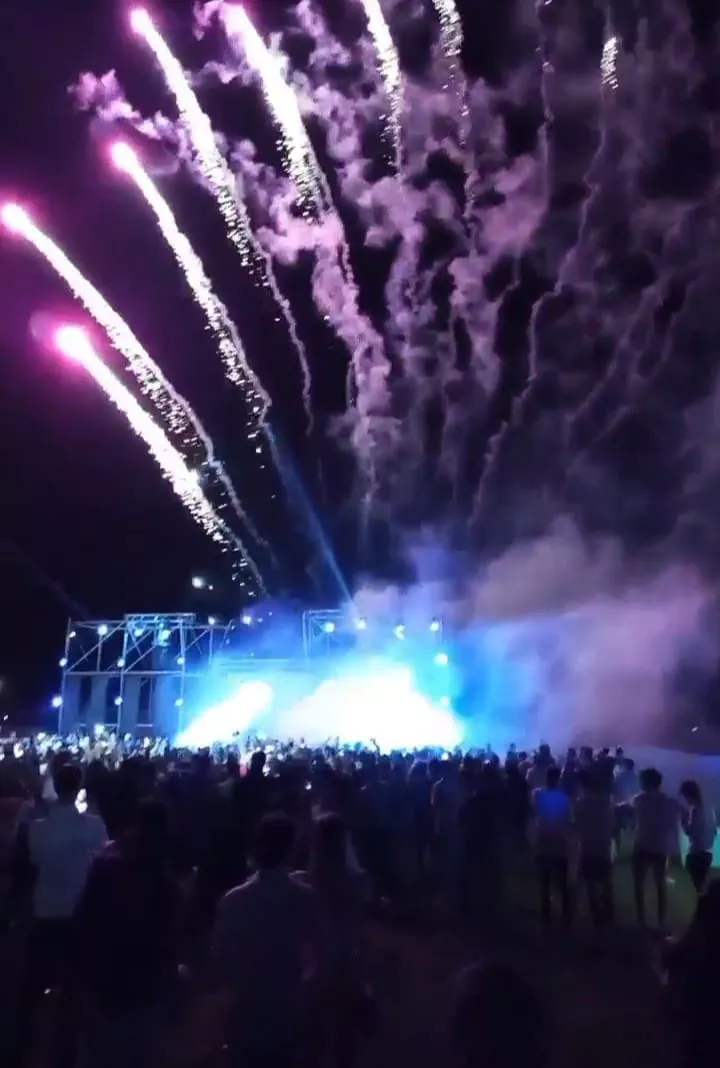 frida fuegos artificiales