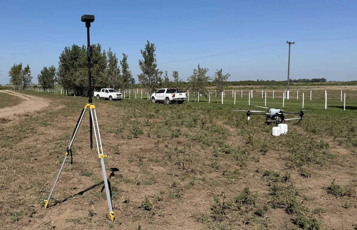agrnehuen jornada lagos 25 FILE