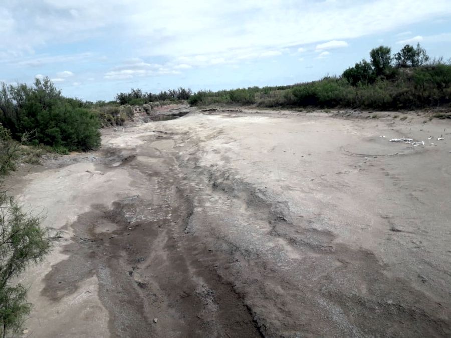 multimedia.normal.8a8064268db6b511.73616c61646f6f737364645f6e6f726d616c2e6a7067