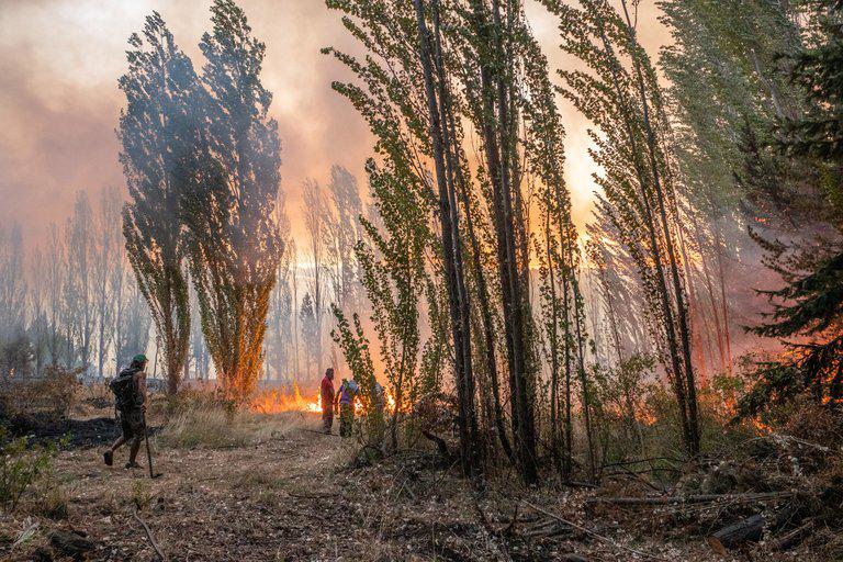 incendios en el sur 1
