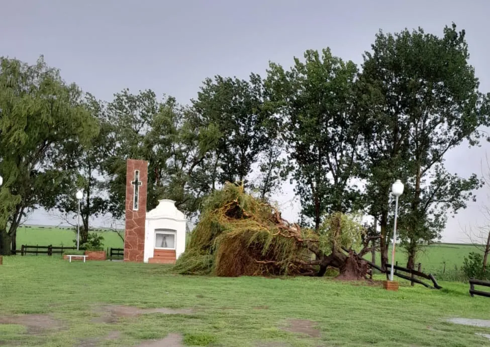 413914570_7366273036717638_4700070071625842590_n