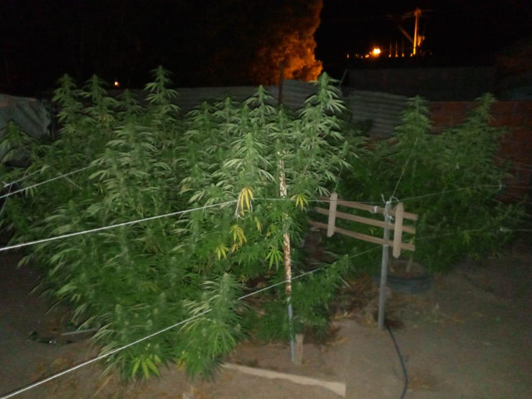 droga san martin