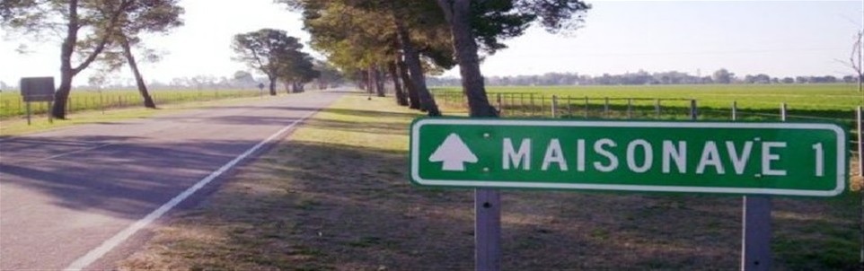 Ingreso