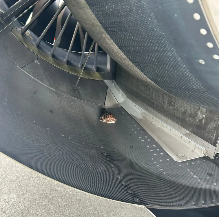 accidente avion iberia ave 2