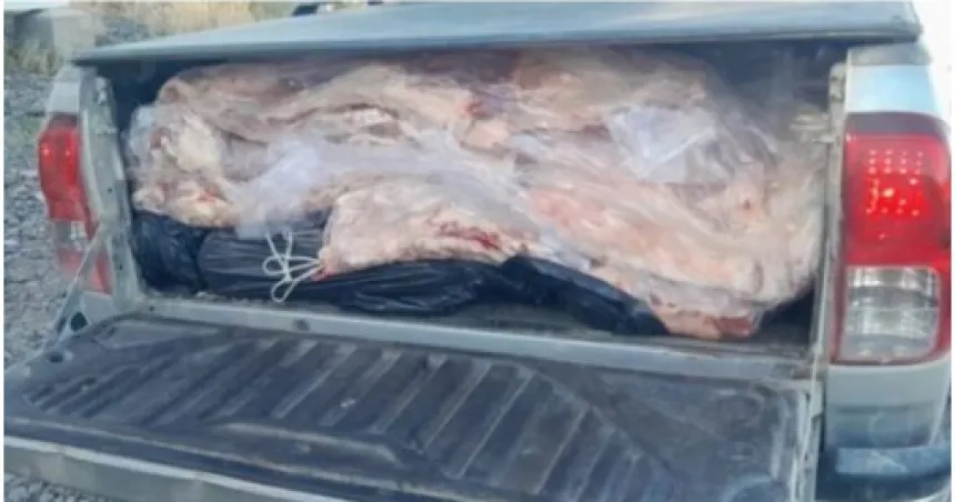 carne