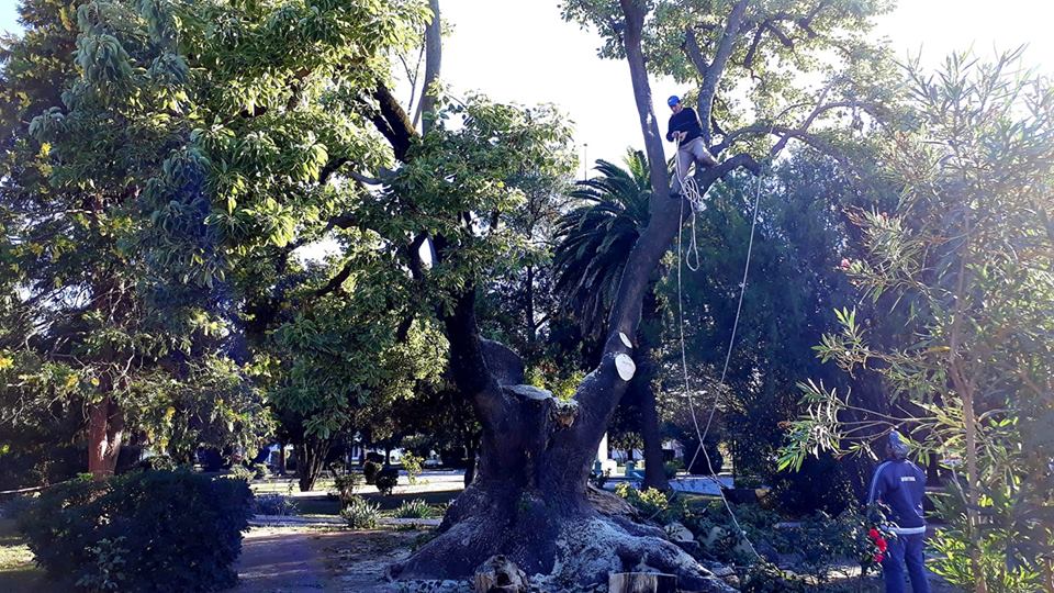 56402061_2384009668277358_7437230236644671488_n