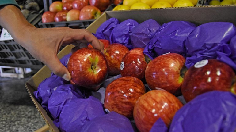 multimedia.normal.9816e09fce459620.6d616e7a616e61735f6e6f726d616c2e6a7067