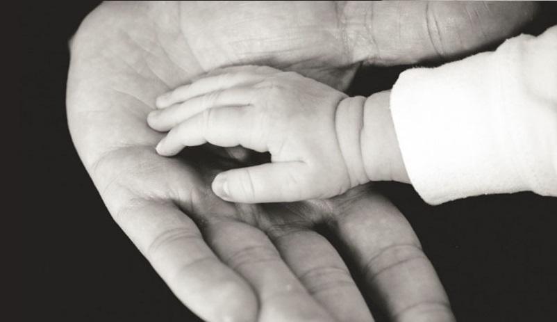 jueza le pidio a un abogado