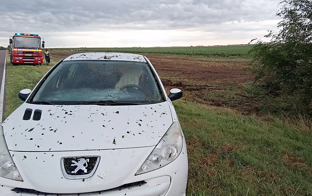 despiste peugeot luiggi 2