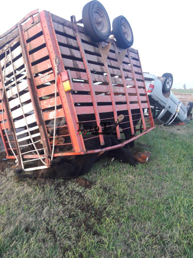 4bf38ce6-dc95-4278-900f-1f29eceea610