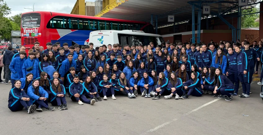 Araucania 26