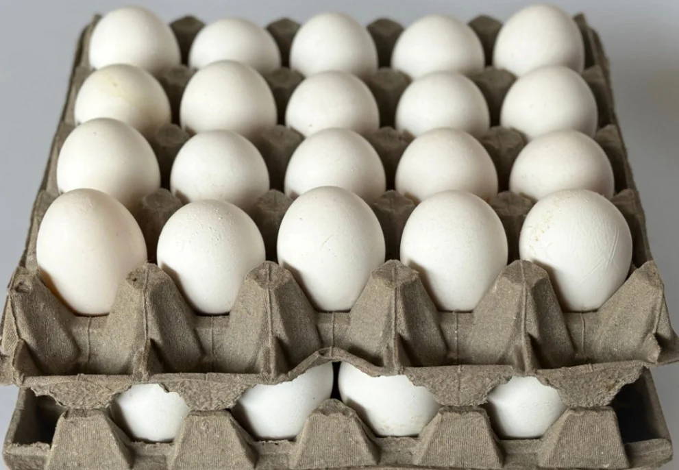 HUEVOS