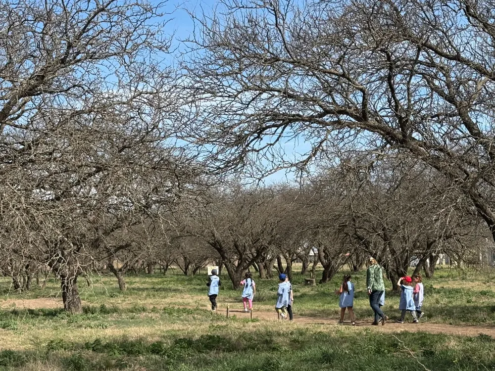 d9b5db1c-7dec-402b-a95d-8842604af296