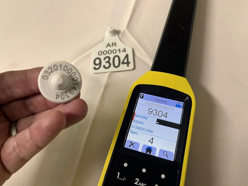 caravanas animal 1 (FILEminimizer)