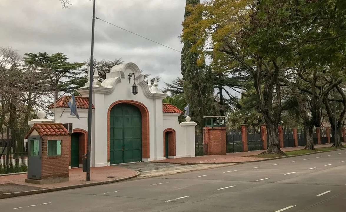 olivos1