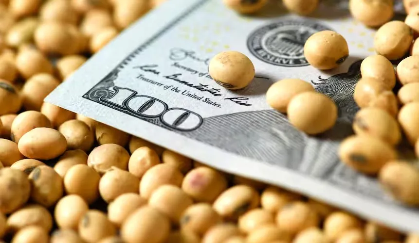 Dolar soja