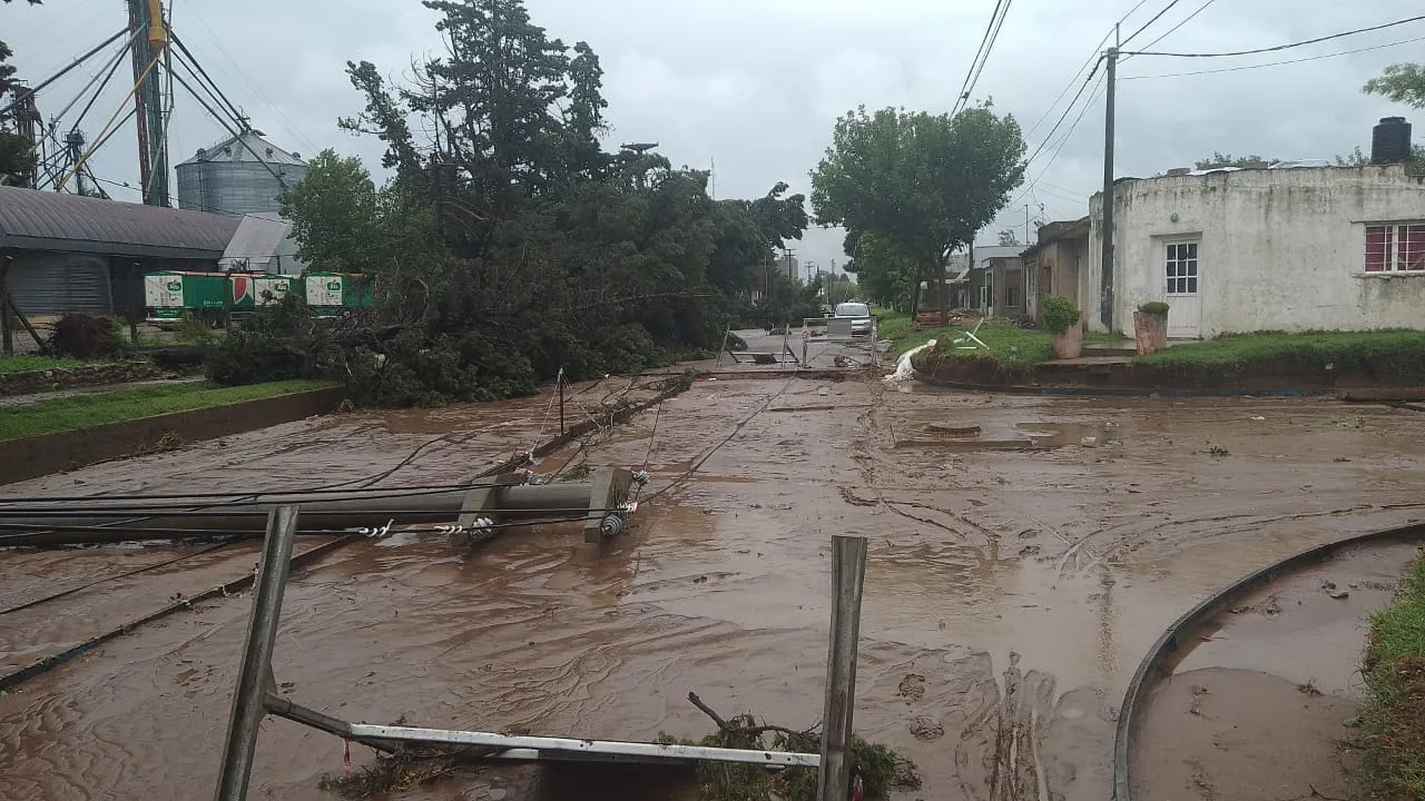 419201403_7273013679450760_1255617826669584422_n