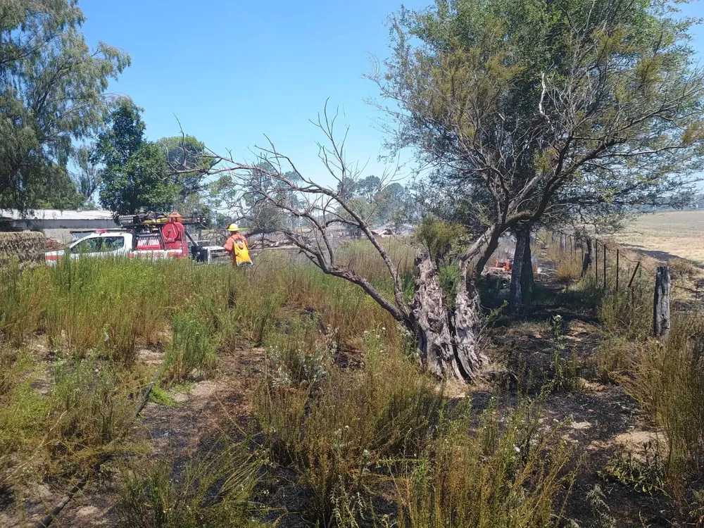 incendio campo veliz 3