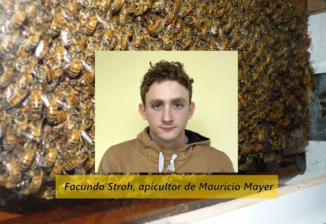 facundo stroh sobre apiario portada FILE
