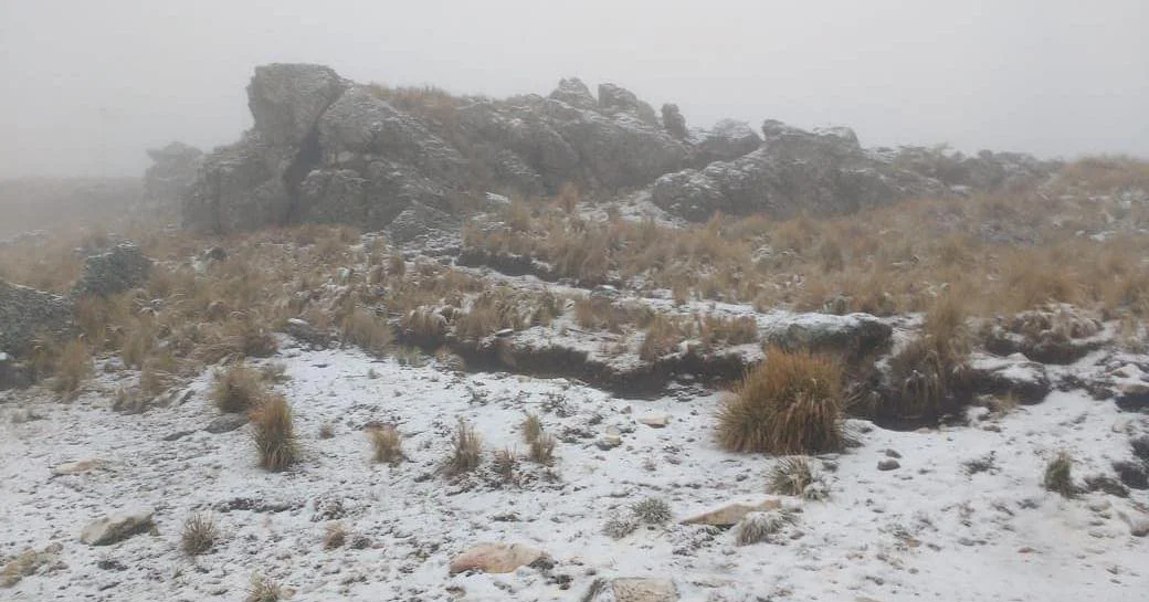 COMECHINGONES NEVADAS 2