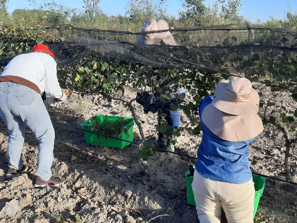 641554_a5156f60-32f0-451b-89d2-3dd3aeb772bf