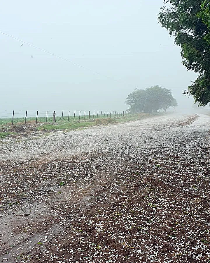 2e0d1cf2-61e6-4070-b9ad-ba6f4fa4dc47