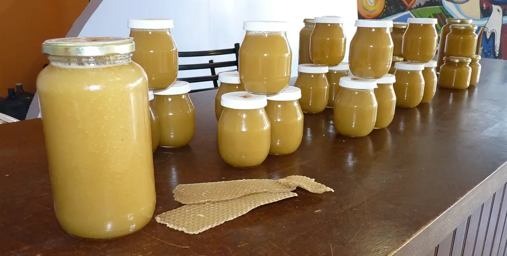 colegio agropecuario apicultura 7 FILE