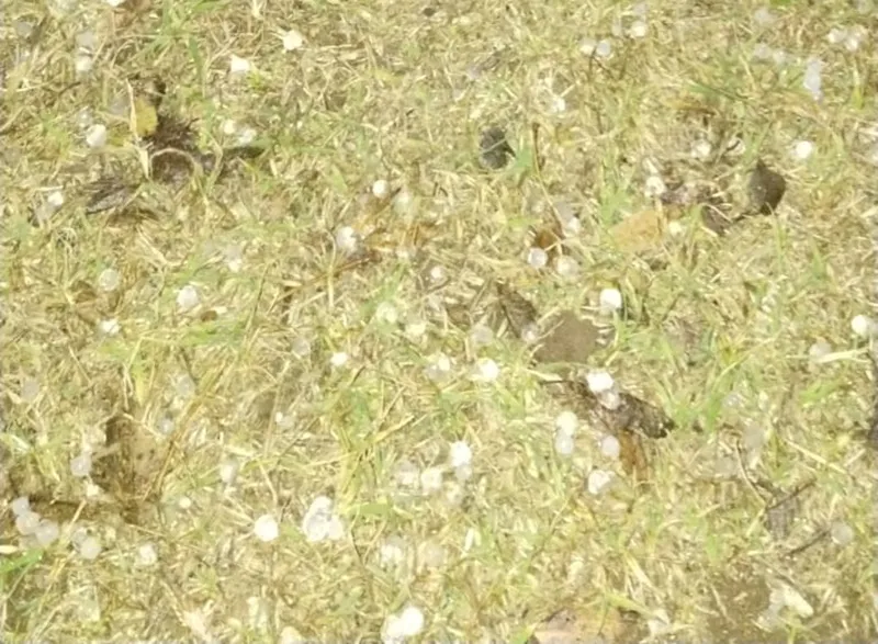 dbf4c423-7b15-423d-80df-4743cd9fba10