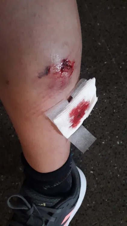 perro Marina Alcaraz