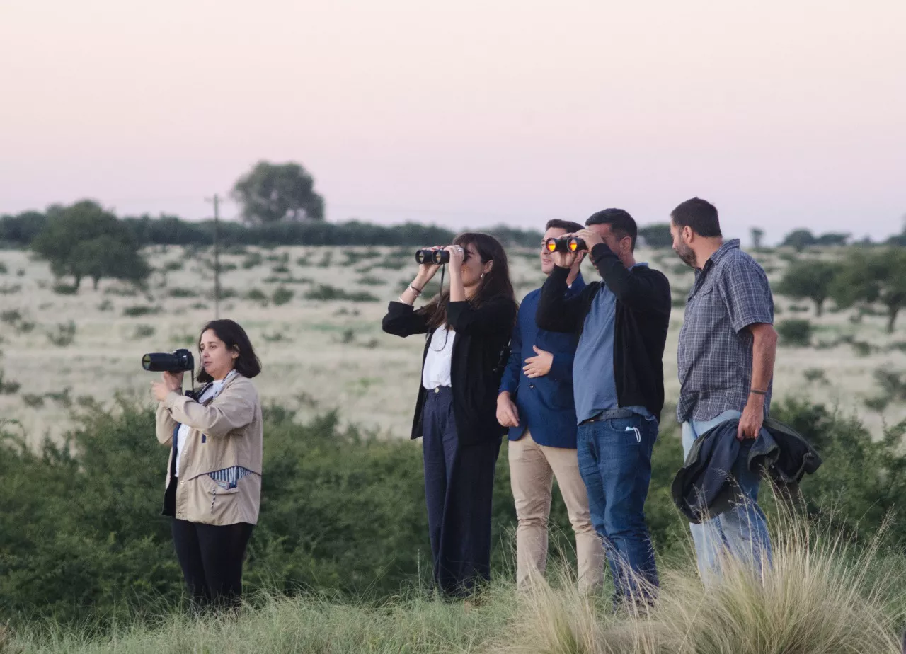 263344_whatsapp-image-2022-03-11-at-9.31.58-am