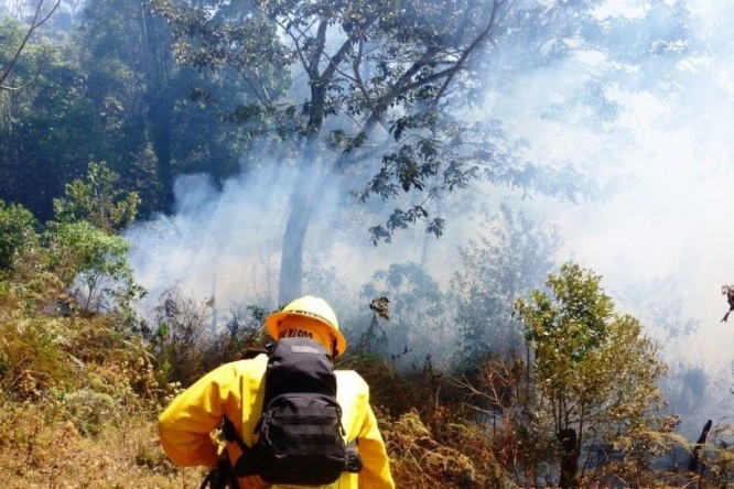 BOMBERO EN INCENDIO FORESTAL
