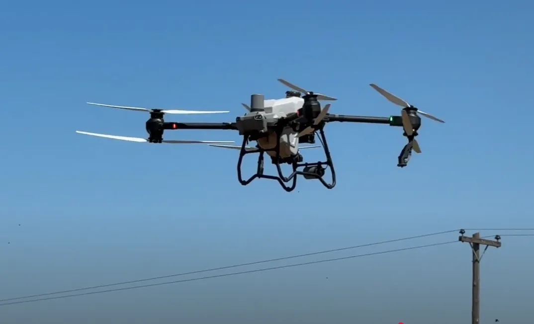 imagen_2025-03-20_090746496