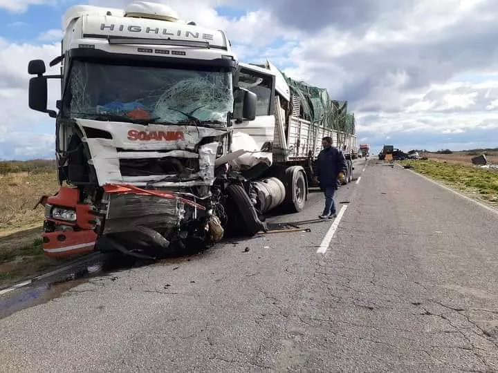 FB_IMG_1631135641088