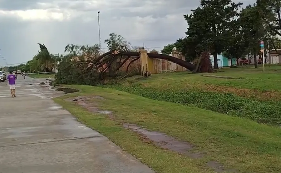 destrozos carlos casares 9