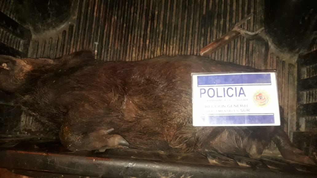 852b0bb8-b670-4dbe-8c09-07de45c758c8