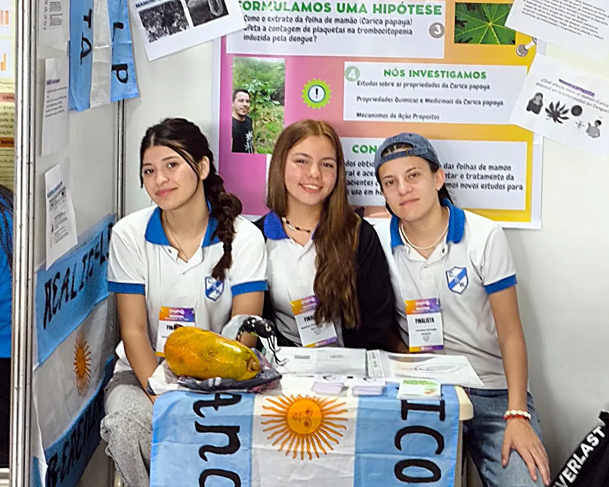 witralen brasil 8