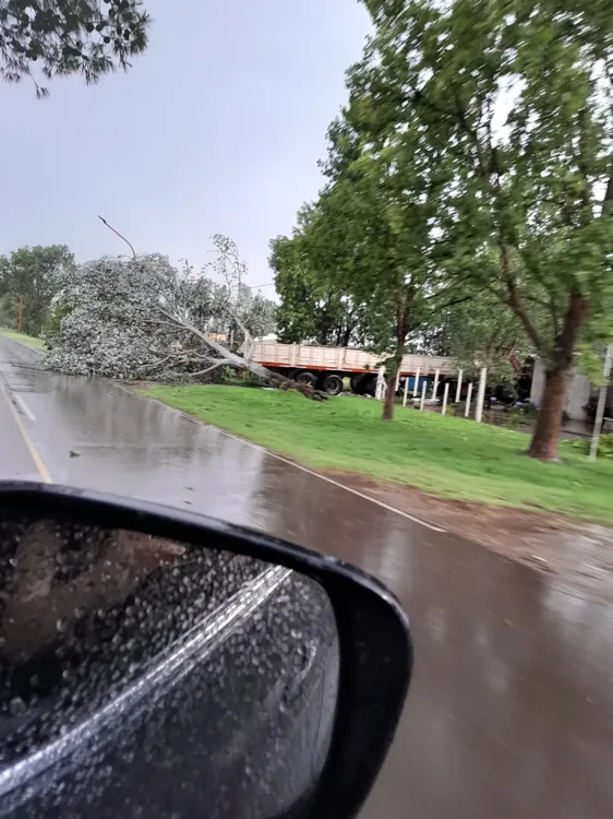 414398035_7366293093382299_1241807536113117115_n