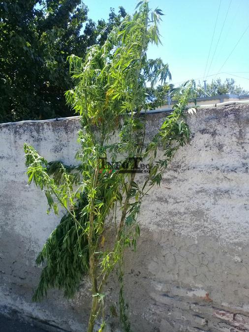 23407150-f8af-4ccb-9d49-2ea8085618f3