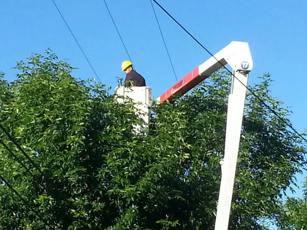 PODA LINEAS MEDIA TENSION