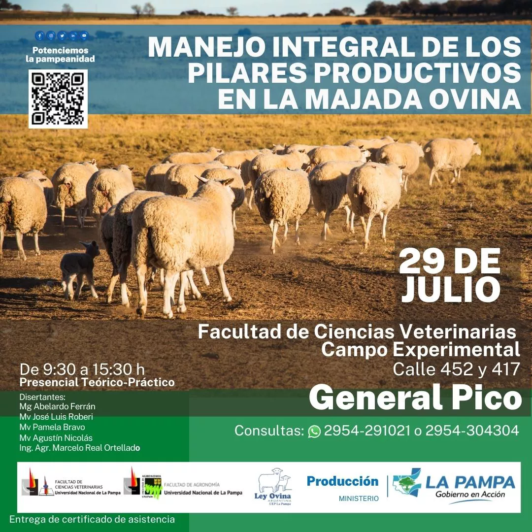 jornada ovina